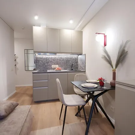 住宿加早餐酒店 Stylish Gray Near The Center 维尔纽斯